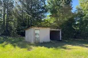 2388 Co Rd 4455, Bivins, TX 75555 - Photo 13