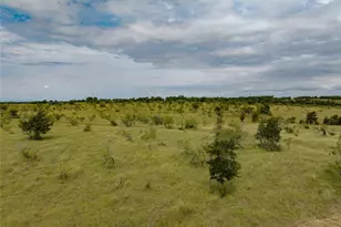 204 County Rd 443, Chilton, TX 76524 - Photo 11