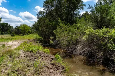 Tbd Fm 203, Glen Rose, TX 76043 - Photo 9