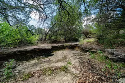 Tbd Fm 203, Glen Rose, TX 76043 - Photo 13