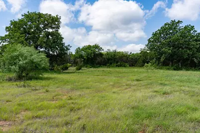 Tbd Fm 203, Glen Rose, TX 76043 - Photo 3