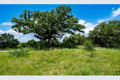 Tbd Fm 203, Glen Rose, TX 76043 - Photo 1