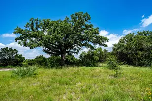 Tbd Fm 203, Glen Rose, TX 76043 - Photo 1