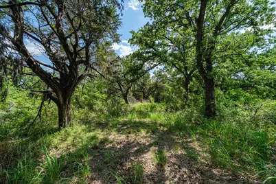 Tbd Fm 203, Glen Rose, TX 76043 - Photo 11
