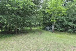 Tbd Count Road 1020, Wolfe City, TX 75496 - Photo 1