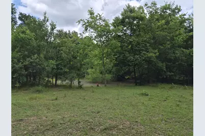 Tbd Count Road 1020, Wolfe City, TX 75496 - Photo 3