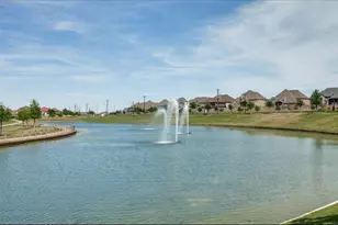8117 Haltered Horse Ln, Frisco, TX 75036 - Photo 21