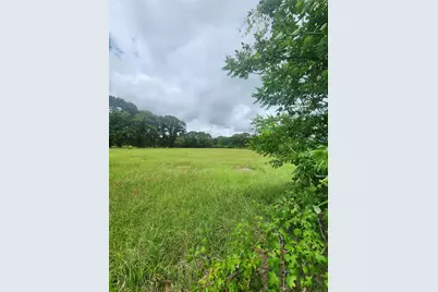 951 County Road 3800, Athens, TX 75752 - Photo 5
