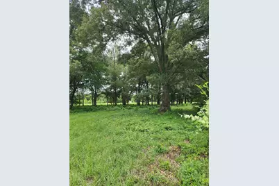 951 County Road 3800, Athens, TX 75752 - Photo 7