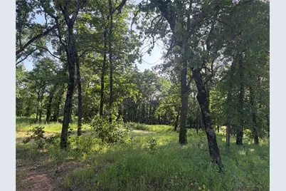 Tbd Oak Creek Drive, Gordonville, TX 76245 - Photo 9