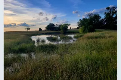 Tbd County Road 4720, Wolfe City, TX 75496 - Photo 7