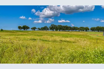 2013 Swallowtail Ct, Poolville, TX 76487 - Photo 5