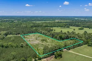 Tbd Mule Deer Rd, Gilmer, TX 75644 - Photo 1