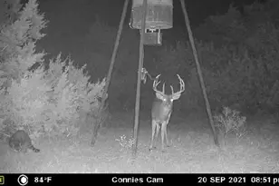 720 Cr 312, McGregor, TX 76657 - Photo 39
