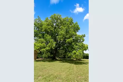 2707 Fm 69, Quitman, TX 75783 - Photo 39