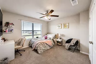 116 Spanish Moss Trl, Rhome, TX 76078 - Photo 25