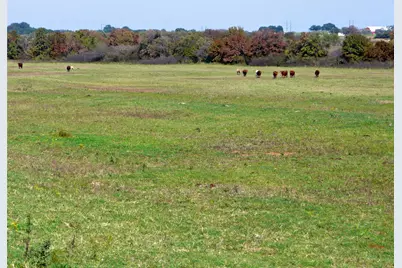 Tbd County Road 300, Dublin, TX 76446 - Photo 3