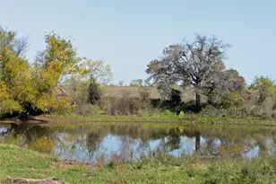 Tbd County Road 300, Dublin, TX 76446 - Photo 1