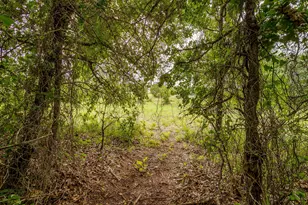 350 Red Top Rd, Poolville, TX 76487 - Photo 33