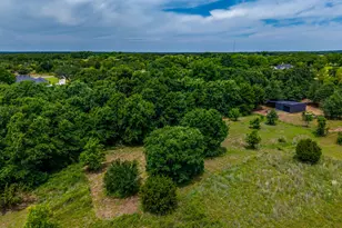 350 Red Top Rd, Poolville, TX 76487 - Photo 5
