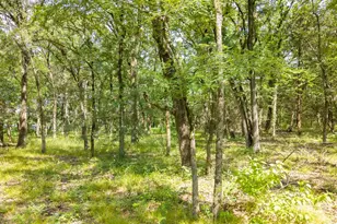 000 Pr 206, Bonham, TX 75418 - Photo 1