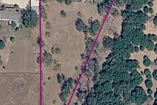 646 County Rd 1304, Morgan, TX 76671 - Photo 5