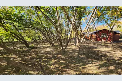 2518 Laney Road, Denton, TX 76208 - Photo 5