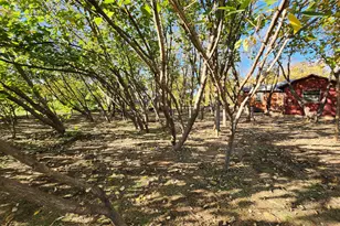 2518 Laney Rd, Denton, TX 76208 - Photo 5