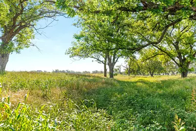 32.07 Ac. Riverfront Tbd Hwy 6, Valley Mills, TX 76689 - Photo 15
