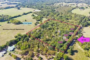 Tbd Cr 520, Fairfield, TX 75840 - Photo 1