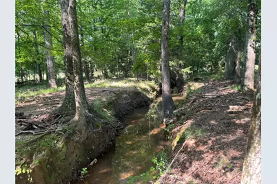 Tbd Hwy 135, Troup, TX 75789 - Photo 15
