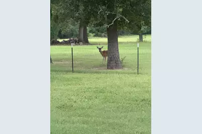 9748 County Road 1200, Athens, TX 75751 - Photo 33