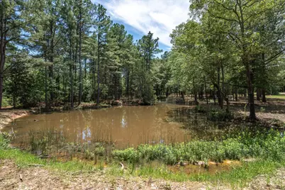 Tbd Pvt. Rd 8079 Road, Ben Wheeler, TX 75754 - Photo 11