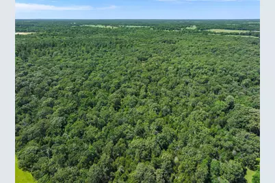Tbd Pvt. Rd 8079 Road, Ben Wheeler, TX 75754 - Photo 31