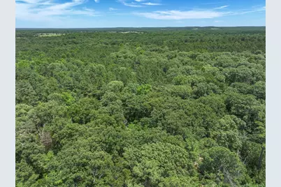Tbd Pvt. Rd 8079 Road, Ben Wheeler, TX 75754 - Photo 21