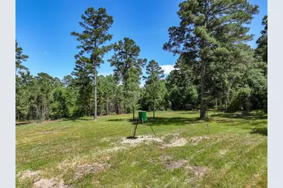 Tbd Pvt. Rd 8079 Road, Ben Wheeler, TX 75754 - Photo 33