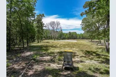 Tbd Pvt. Rd 8079 Road, Ben Wheeler, TX 75754 - Photo 3