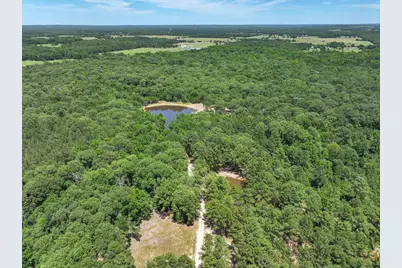 Tbd Pvt. Rd 8079 Road, Ben Wheeler, TX 75754 - Photo 5