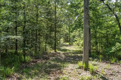 Tbd Pvt. Rd 8079 Road, Ben Wheeler, TX 75754 - Photo 35