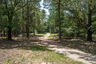 Tbd Pvt Rd 8079 Rd, Ben Wheeler, TX 75754 - Photo 1