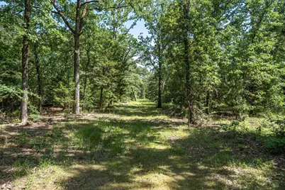 Tbd Pvt. Rd 8079 Road, Ben Wheeler, TX 75754 - Photo 37