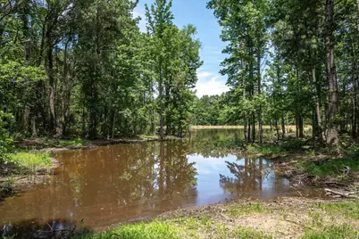 Tbd Pvt. Rd 8079 Road, Ben Wheeler, TX 75754 - Photo 13