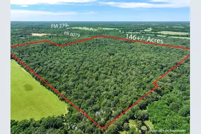 Tbd Pvt. Rd 8079 Road, Ben Wheeler, TX 75754 - Photo 7