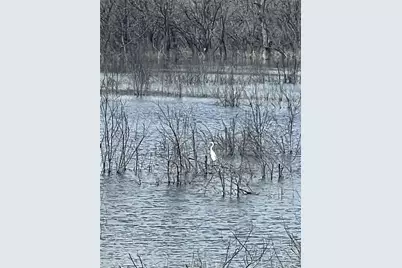 0 County Rd 2980, Windom, TX 75492 - Photo 9