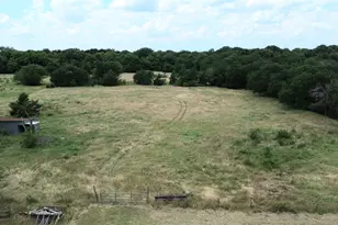 2225 Co Rd 700, Farmersville, TX 75442 - Photo 9