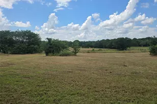 2225 Co Rd 700, Farmersville, TX 75442 - Photo 3