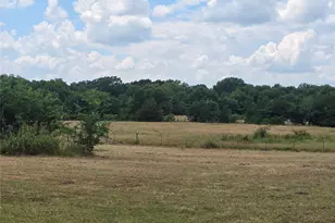 2225 Co Rd 700, Farmersville, TX 75442 - Photo 5