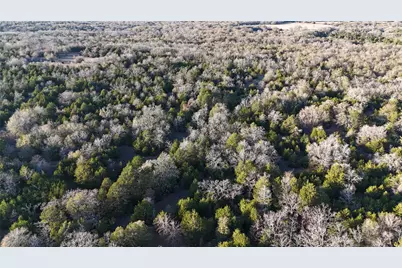 Tbd County Road 442, Teague, TX 75860 - Photo 1