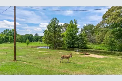 1122 County Road 3750, Hawkins, TX 75765 - Photo 5