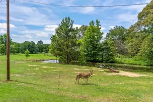 1122 Co Rd 3750, Hawkins, TX 75765 - Photo 5